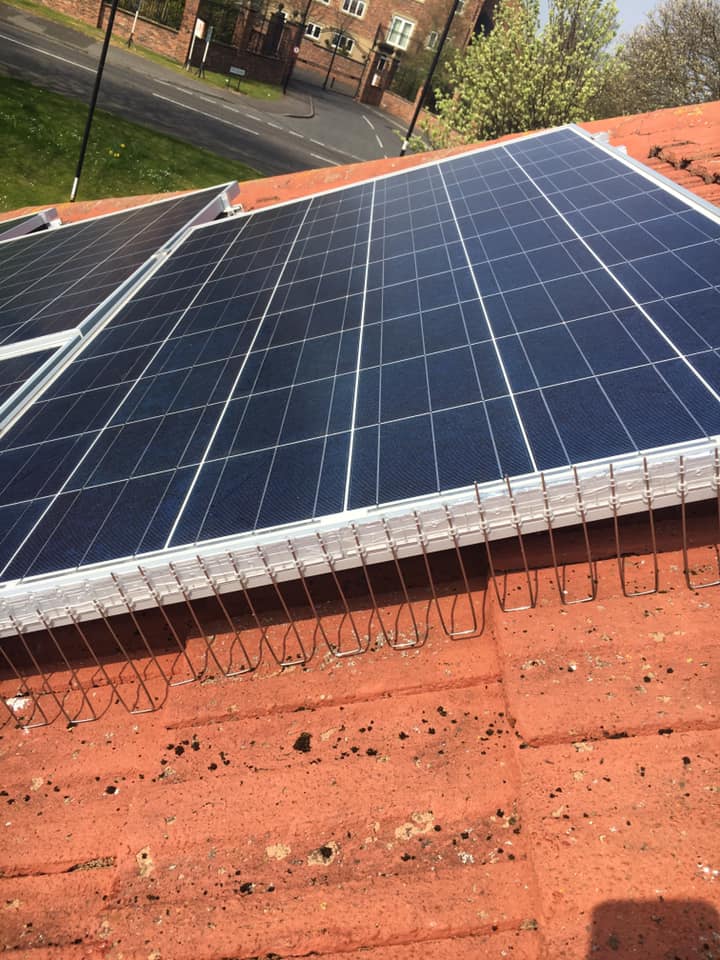 Bird Proofing AJN Pest Solutions